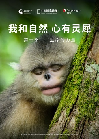 我和自然心有灵犀1：生命的力量
