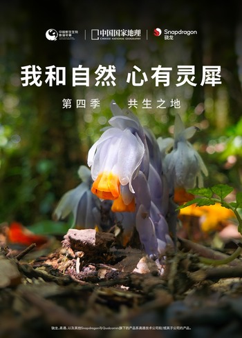 我和自然心有灵犀4：共生之地