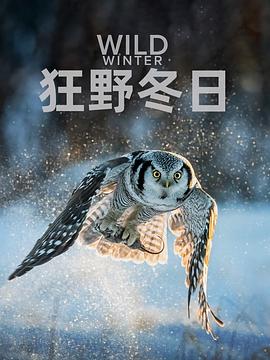 狂野冬日1