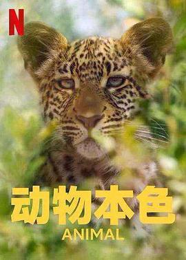 动物本色2