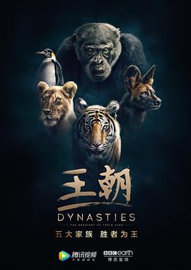 王朝1