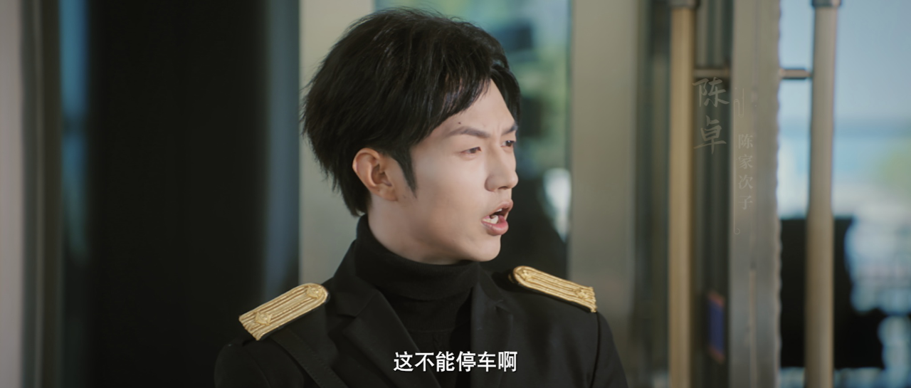 乘龙赘婿