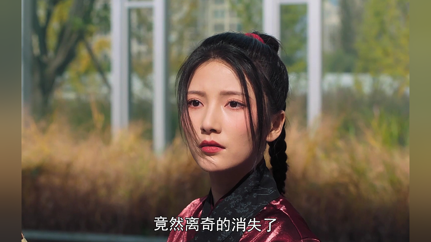 仙帝归来当赘婿