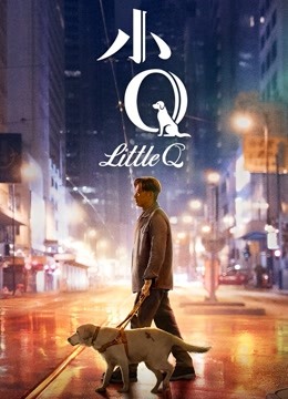 小Q 无障碍解说版