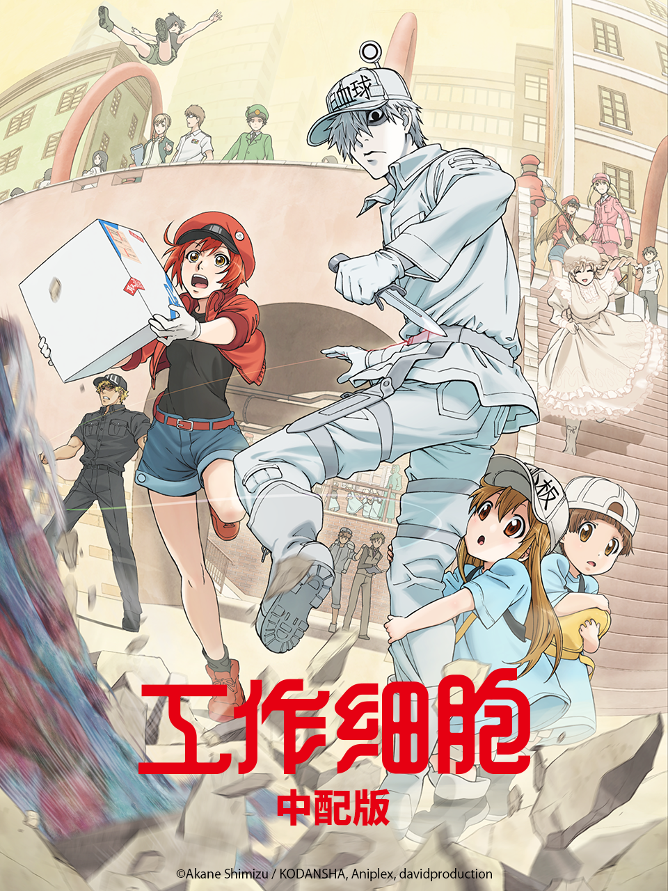 工作细胞 中配版