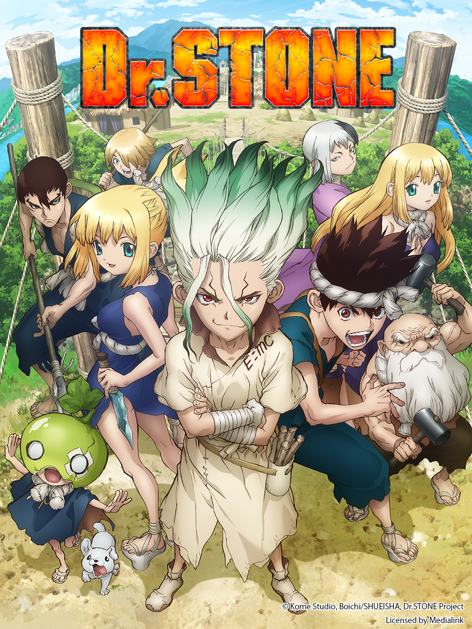 Ｄｒ．ＳＴＯＮＥ石纪元