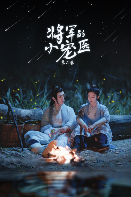 将军的小宠医2