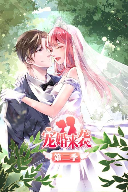宠婚来袭2