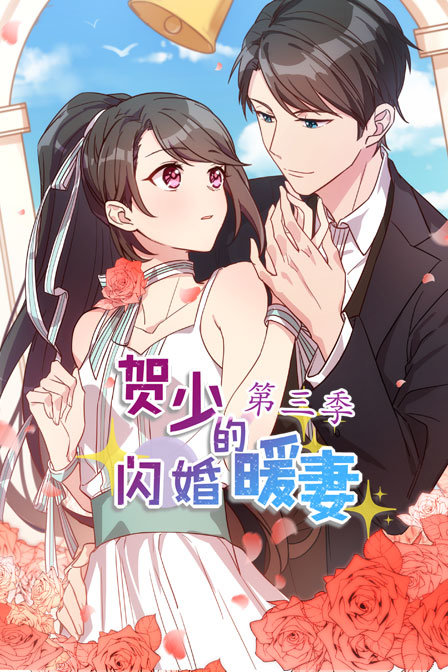 贺少的闪婚暖妻3